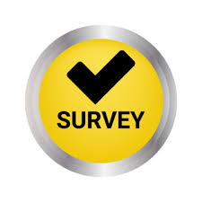 Top Survey Spot logo